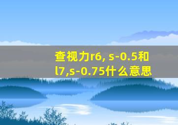 查视力r6, s-0.5和l7,s-0.75什么意思